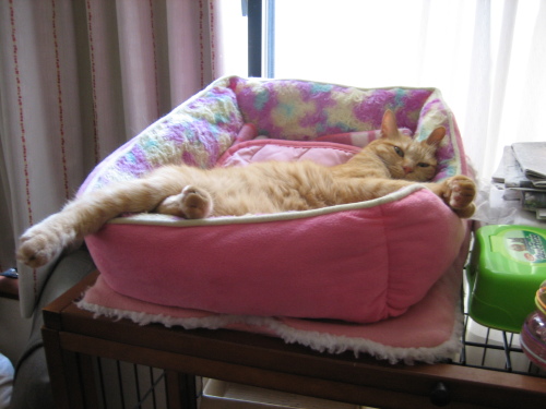 Sept. 19, 2015(14).JPG