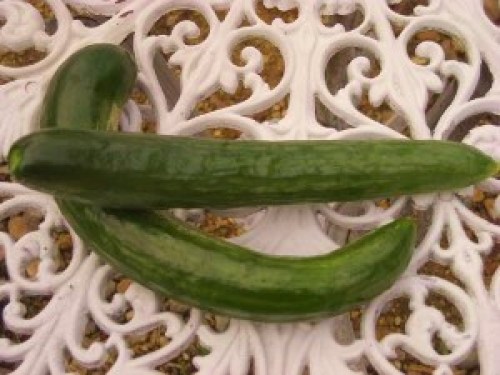 DSCN9085 (300x225).jpg