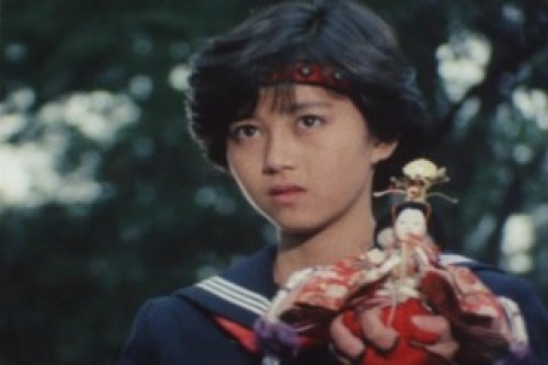 PDVD_035.jpg