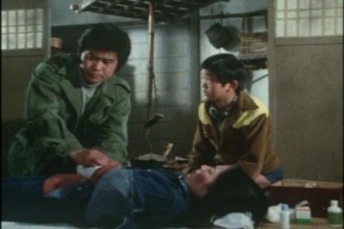 PDVD_015.jpg