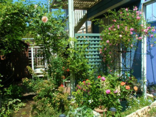 DSCF8181.jpg