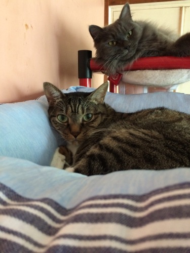 IMG_9835 - コピー.JPG