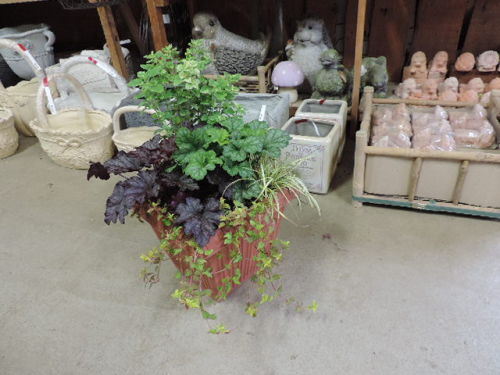 DSCN3010.JPG