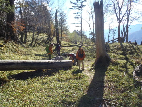 PA270080.JPG
