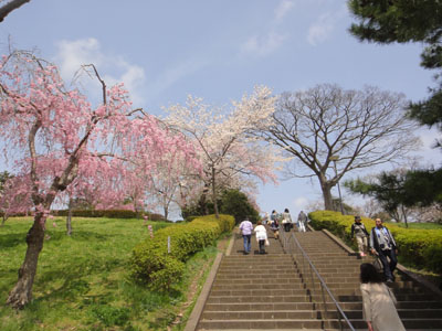 榴岡5.jpg