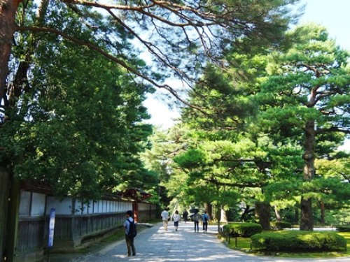 DSCF1153.JPG