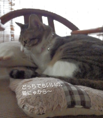 20150921_4.jpg