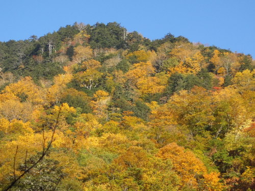 PA270148.JPG