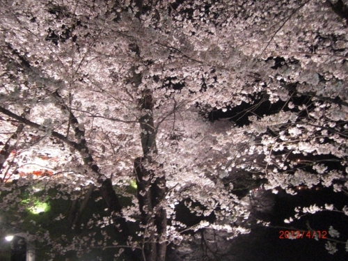 CIMG6761 (640x480).jpg