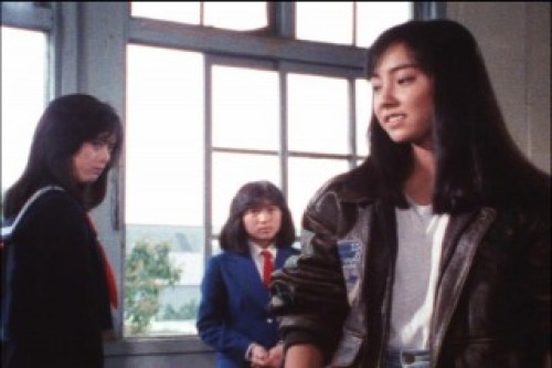 PDVD_317.jpg