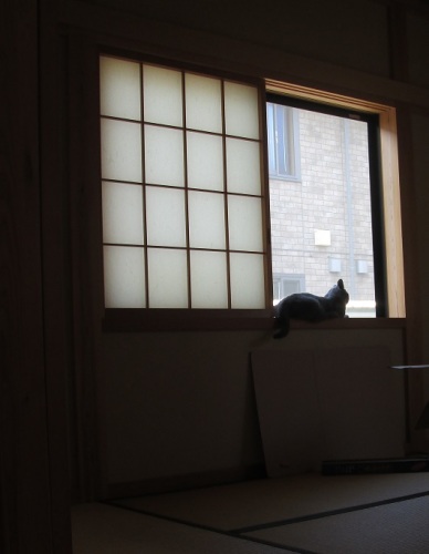 0713f.jpg