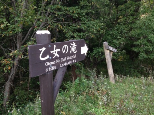 紅葉を探すライト?！10.jpg