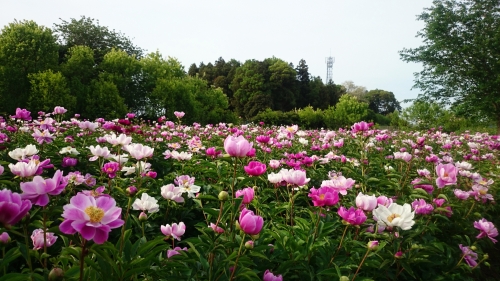 CYMERA_20160530_151003.jpg