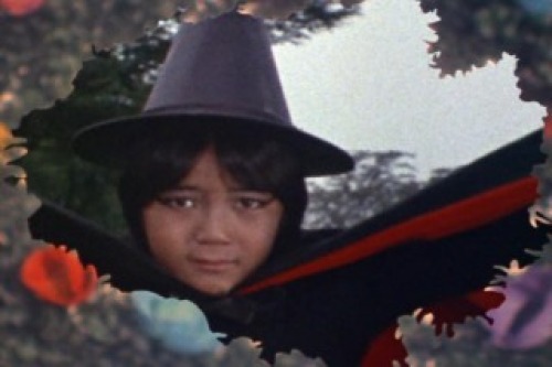PDVD_011.jpg