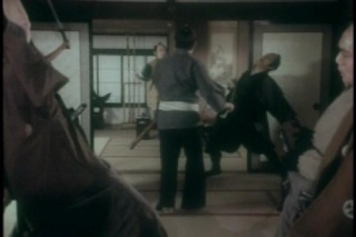 PDVD_029.jpg