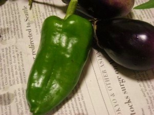 DSCN2957 (300x225).jpg