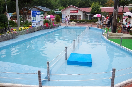 IMGP1125.jpg
