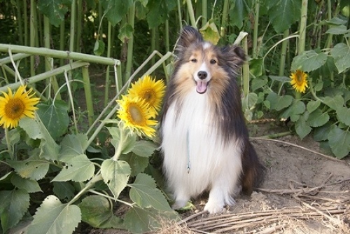 DSC07908.jpg