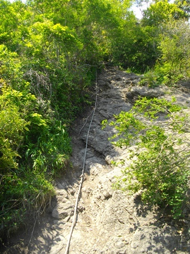 伊予ヶ岳登山道 (4).JPG