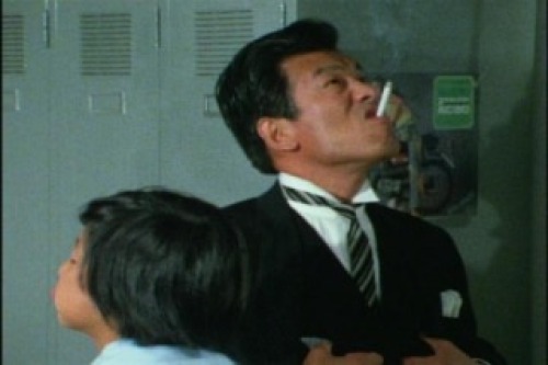 PDVD_016.jpg