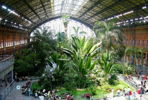 pict-アトーチャ 3.jpg