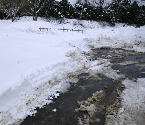 大雪2.jpg