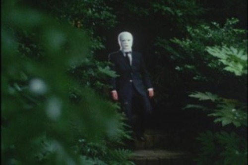 PDVD_003.jpg