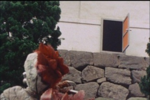 PDVD_016.jpg