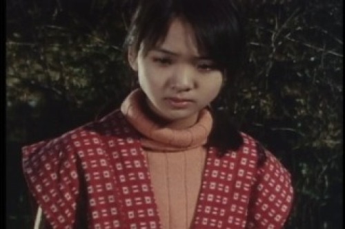 PDVD_033.jpg