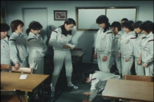 PDVD_020.jpg