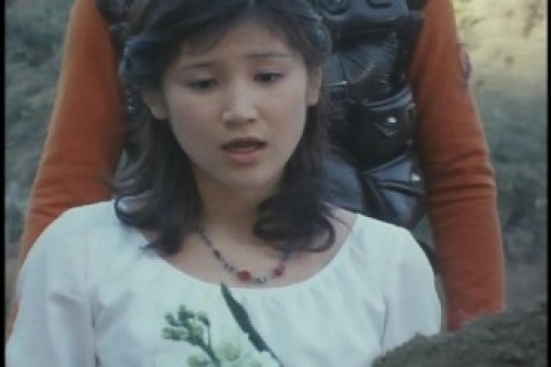 PDVD_028.jpg