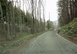 戸隠3.jpg