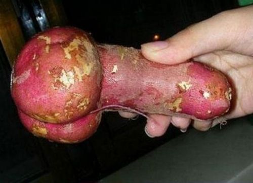 penis-accident-occurred32さつまいも.jpg