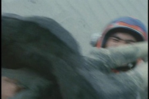 PDVD_019.jpg