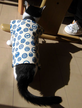 11.jpg