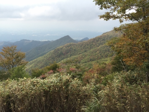 IMG_5558 (640x480).jpg