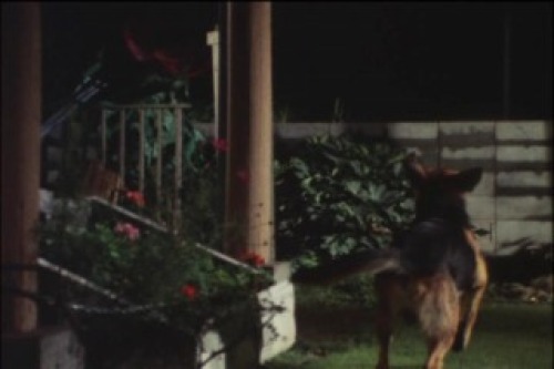 PDVD_063.jpg