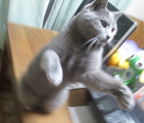 0122n.jpg