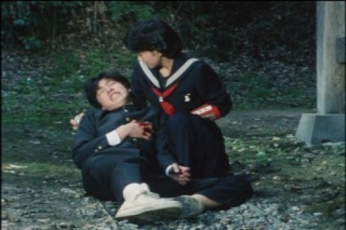 PDVD_050.jpg