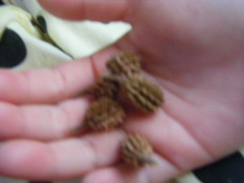 グアム旅行 ソレダット砦 (8).JPG