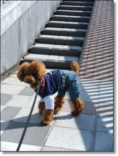 DSCF1484.JPG