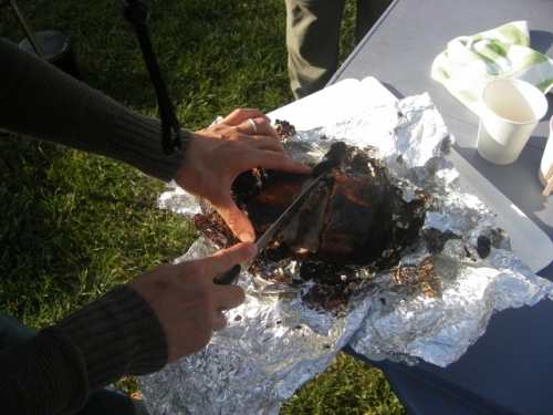 IMGP0005 (640x480).jpg