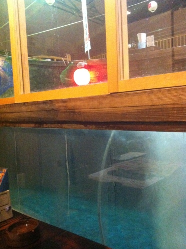 201302181535_4575_iphone.jpg
