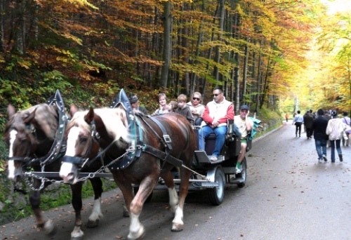 pict-秋ノイシュバンシュタイン城 2.jpg