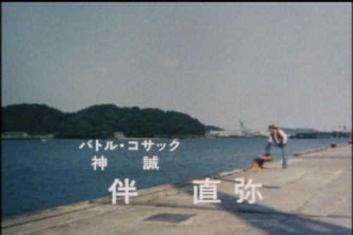 PDVD_004.jpg