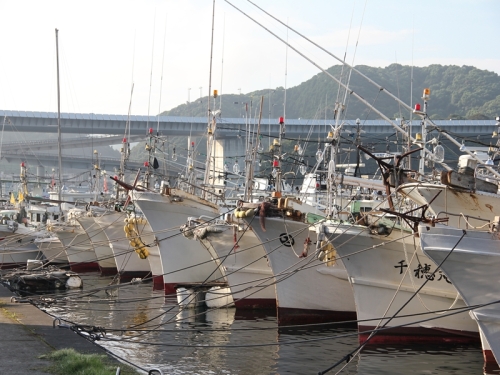 2012年９月１５日台風１６号 022_R.jpg