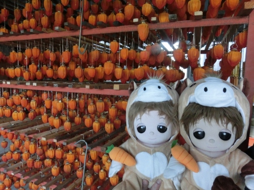 CIMG5272 (1280x960).jpg