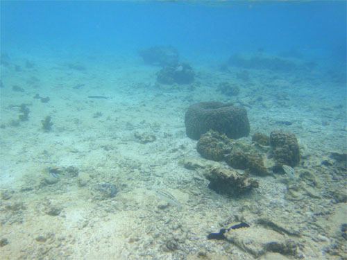 沖縄79.jpg