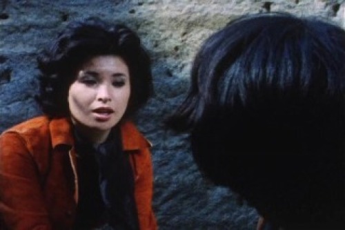 PDVD_009.jpg