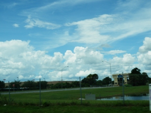 P8050531 (450x338).jpg